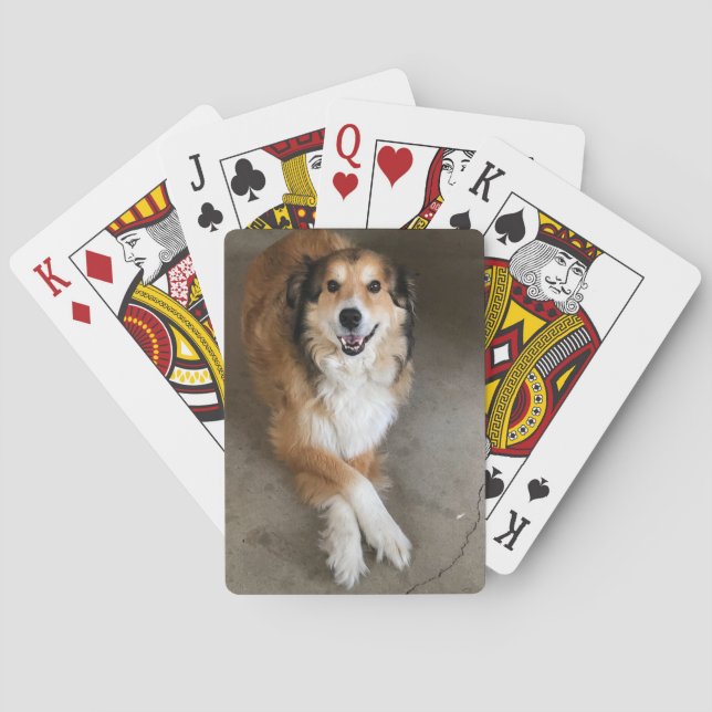Baralho Cachorro (Verso)