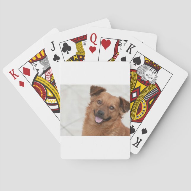 Baralho Cachorro Cachorrinho Marrom Feliz (Verso)