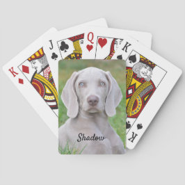 Baralho Cachorro-Cachorro Personalizado do Weimaraner