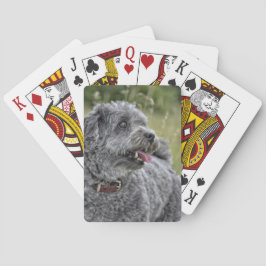 Baralho Cachorro Cortado Terrier