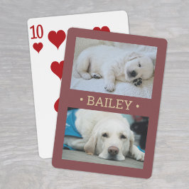 Baralho Cachorro de Foto Moderno 2 ou Qualquer Nome Borgon