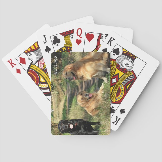 Baralho Cachorros Amigos Fofos (Verso)