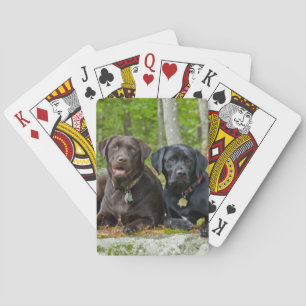 Baralho Cães Cachorros Cachorros Puppies Black Lab Chocol