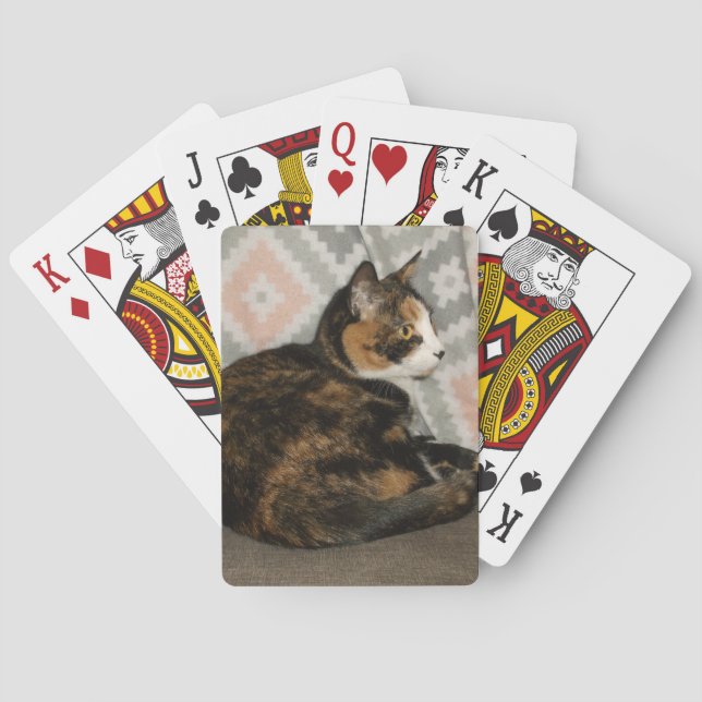 Baralho Callie Cat no Sofá (Verso)