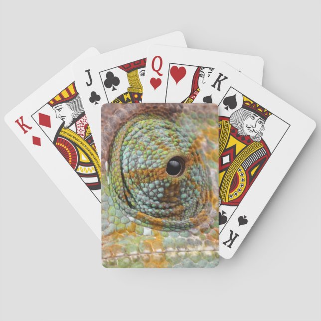 Baralho Cameleon Eye Mod Na moda Animal (Verso)