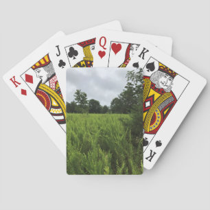 Baralho Caminhando na Floresta, Chester, Carolina do Sul