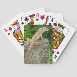 Baralho Camouflage Master