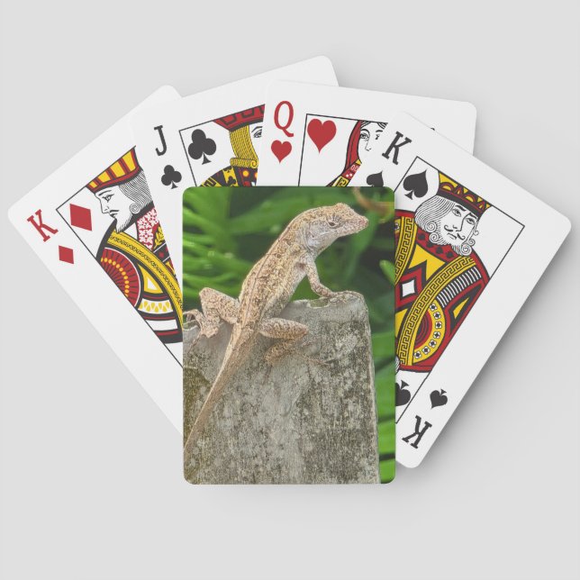 Baralho Camouflage Master (Verso)