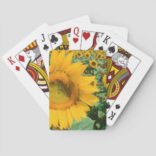 Baralho Campo De Girassóis. Heidleberg
