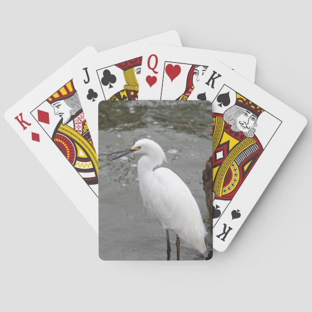 Baralho Cantando Snowy Egret (Verso)