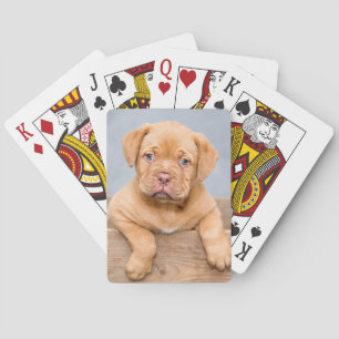 Baralho Cão Cachorro De Bordeaux
