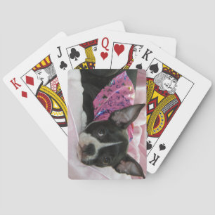 Baralho Cão de filhote de cachorro de Boston Terrier