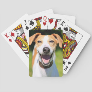 Baralho Cão de riso das imagens de Getty