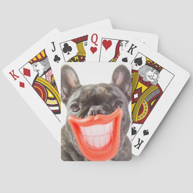 Baralho Cão de sorriso das imagens | A de Getty (Verso)