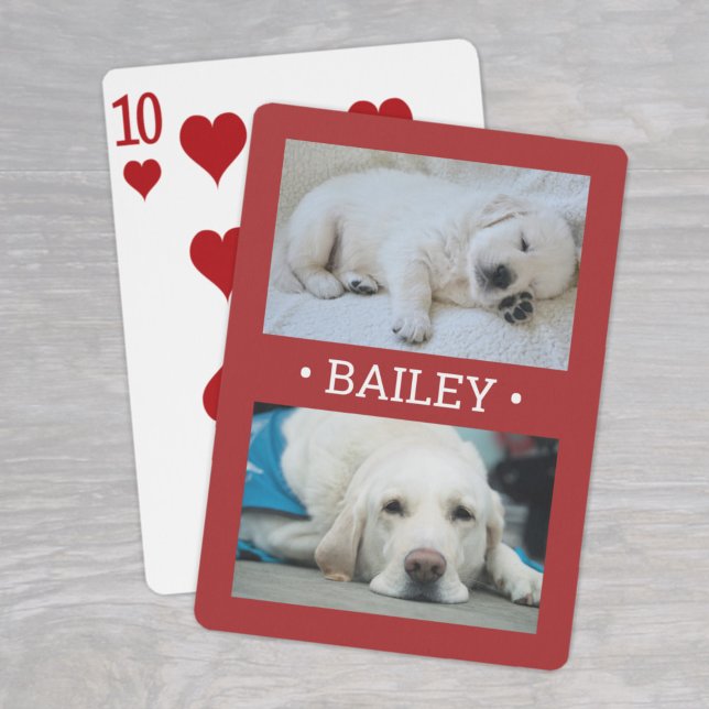 Baralho Cão-Foto Moderno 2 ou Qualquer Nome Vermelho e Bra (Criador carregado)