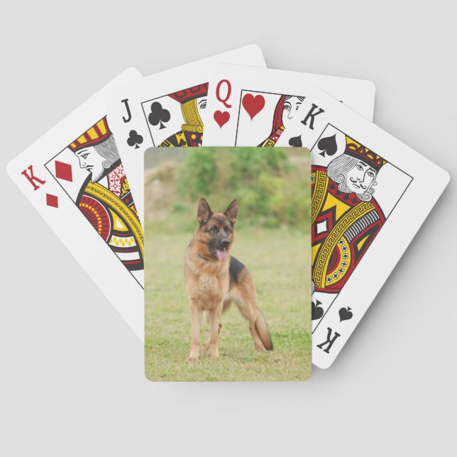 Baralho cão german shepherd (Verso)
