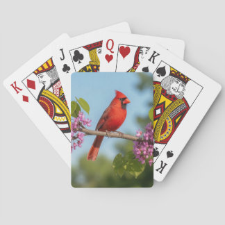 Baralho Cardinal em um galho de Redbud