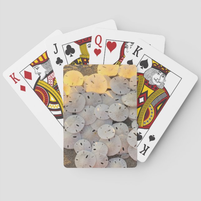 Baralho Cartas Clássicas de Jogo Dólar de Areia (Verso)