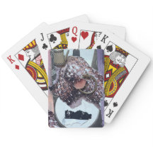 Cartas de Baralho: O Anel Mágico