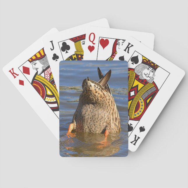 Baralho Cartas de Jogar Bottoms Up (Verso)