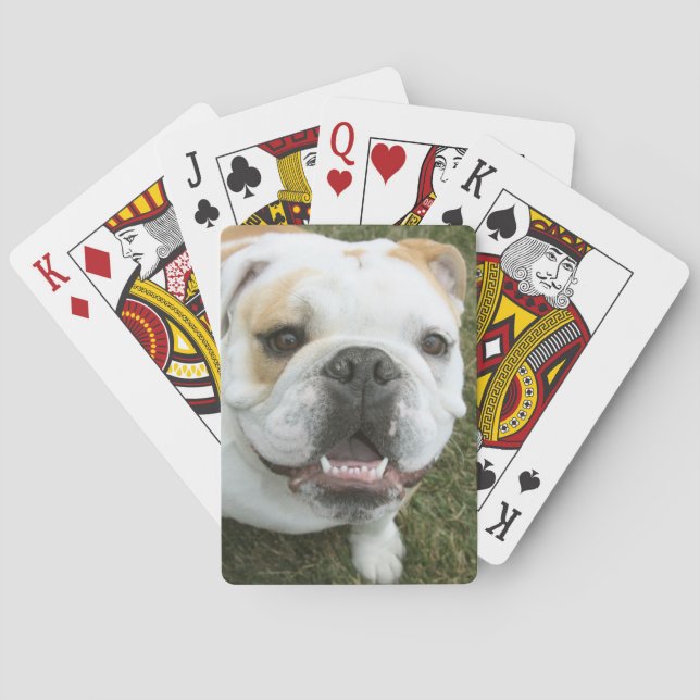 Baralho Cartas de jogar buldogue em inglês (Verso)