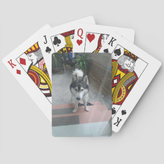 Baralho Cartas de Jogar Clássicas do Cão Husky