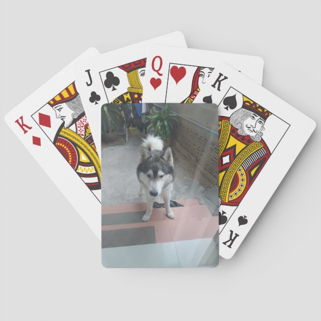 Baralho Cartas de Jogar Clássicas do Cão Husky (Verso)