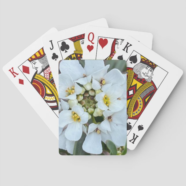 Baralho cartas de jogar com flor branca (Verso)