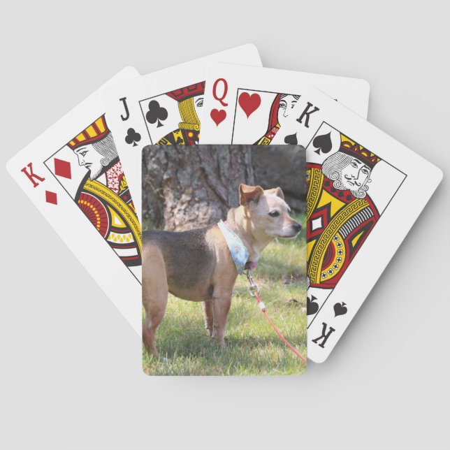 Baralho Cartas de Jogar da Lily (Verso)