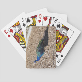 Baralho Cartas de jogar do Pavão Azul Indiano
