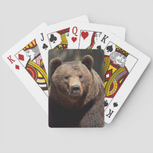 Baralho cartas de jogar urso-pardo