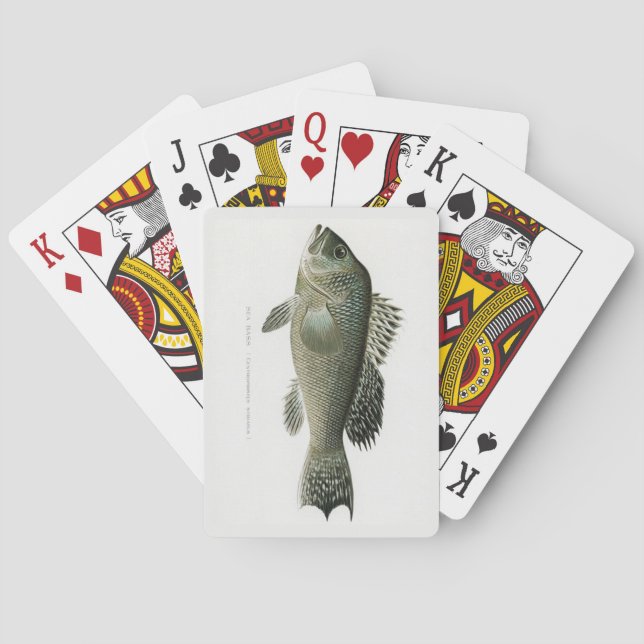 Baralho Cartas de Jogo de Robalo (Verso)