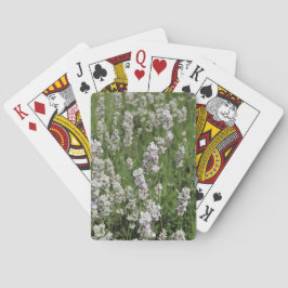 Baralho Cartas de Melissa Lavender