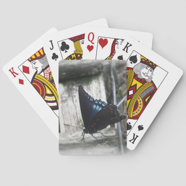 Baralho Cartas de Memória de Borboleta (Verso)