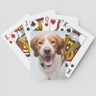 Baralho Cartas de Reprodução Brittany Spaniel Francês