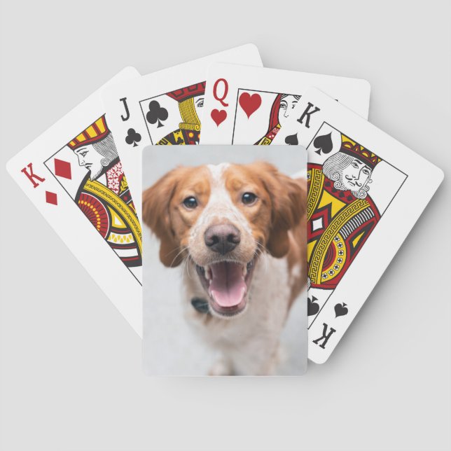 Baralho Cartas de Reprodução Brittany Spaniel Francês (Verso)