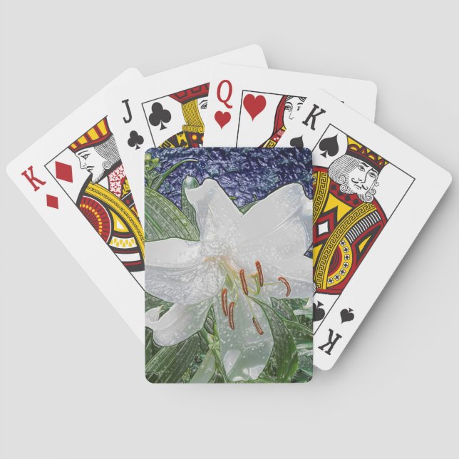 Baralho Cartões Brancos (Verso)