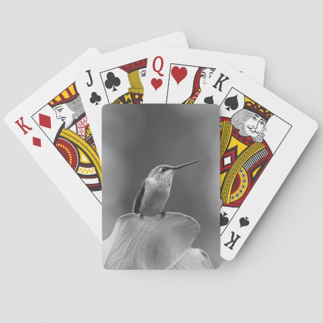 Baralho Cartões Clássicos de Hummingbird (Verso)