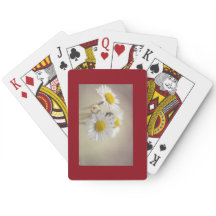 Cartões da margarida