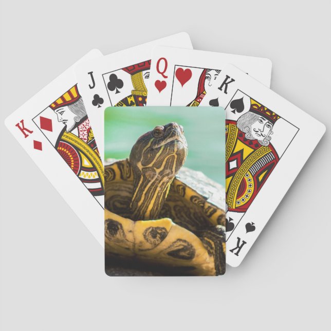 Baralho Cartões de Brincadeira (Verso)