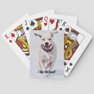 Baralho Cartões de Brincadeira de Pop de Cão Feliz