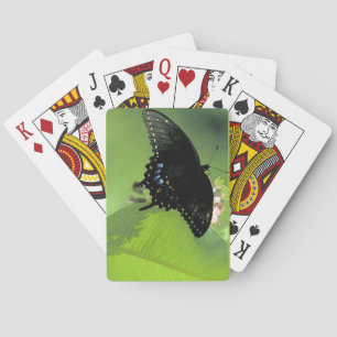Baralho Cartões de índice enormes pretos de Swallowtail