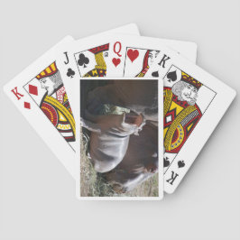 Baralho Cartões de Jogada Baby Hippo