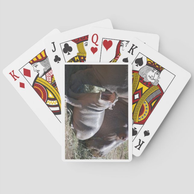 Baralho Cartões de Jogada Baby Hippo (Verso)