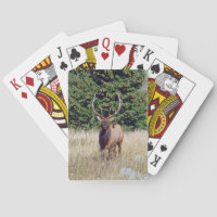 Cartões De Jogada De Bicicleta Bull Elk