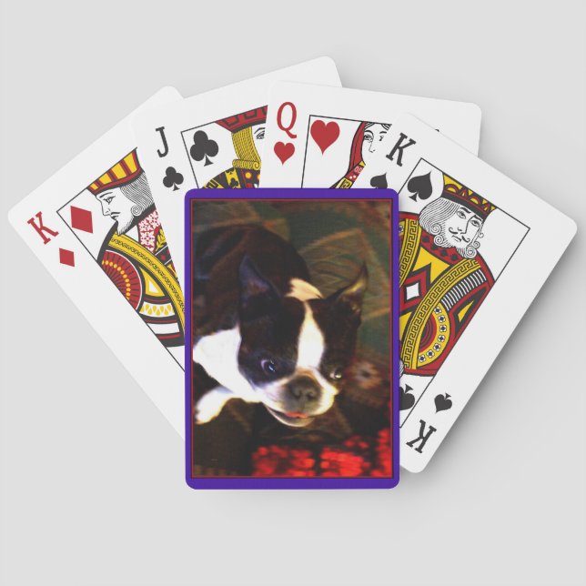 Baralho Cartões de jogar Boston Terrier (Verso)