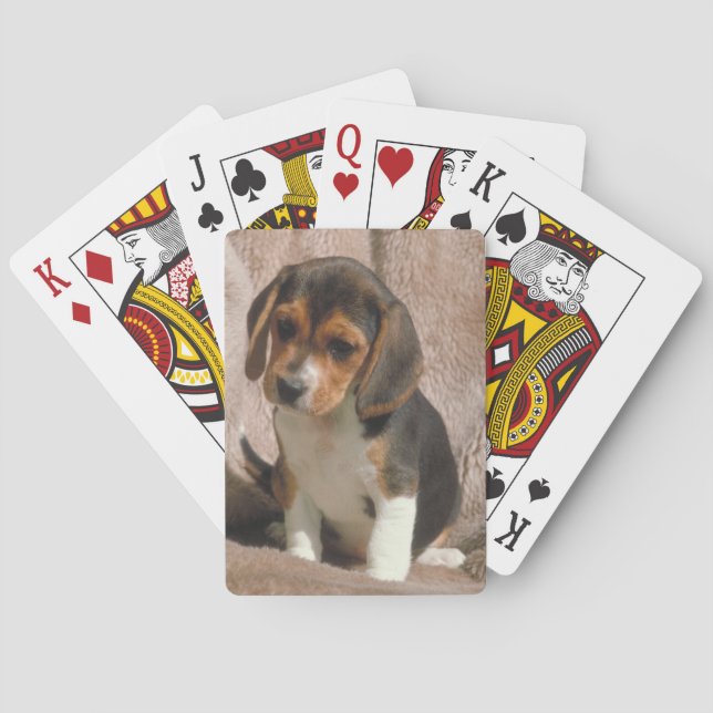 Baralho Cartões De Jogar Cachorro De Beagle Puppy (Verso)