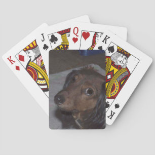 Baralho Cartões De Jogar Dachshund