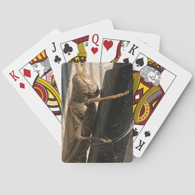 Baralho Cartões De Jogar Gafanhoto (Verso)