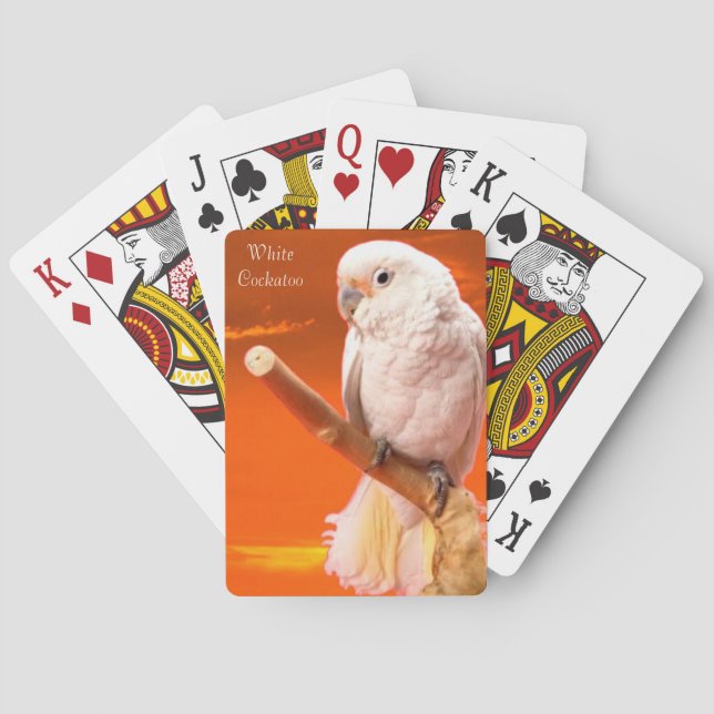 Baralho Cartões de jogar Wildlife (Verso)
